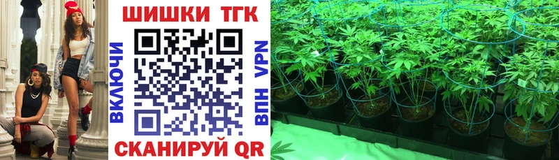 Бошки Шишки план  Шахунья 